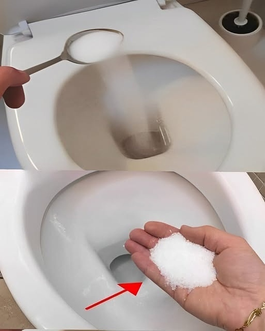 Ρίξτε αλάτι μέσα στην τουαλέτα και θα καταλάβετε – Αυτά δεν μας τα λένε οι υδραυλικοί