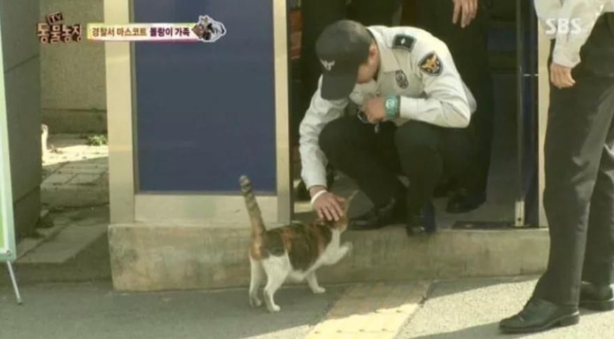 Αδέσποτη γατομαμά φέρνει τα μικρά της σε αστυνομικό σταθμό που γίνεται το παντοτινό σπίτι τους