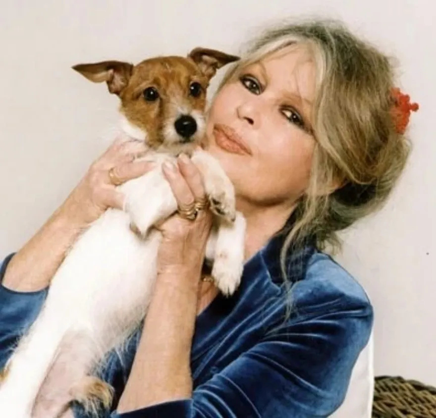 Αυτός είναι ο επίγειος παράδεισος που δημιούργησε η Μπριζίτ Μπαρντό για 4.000 ζώα