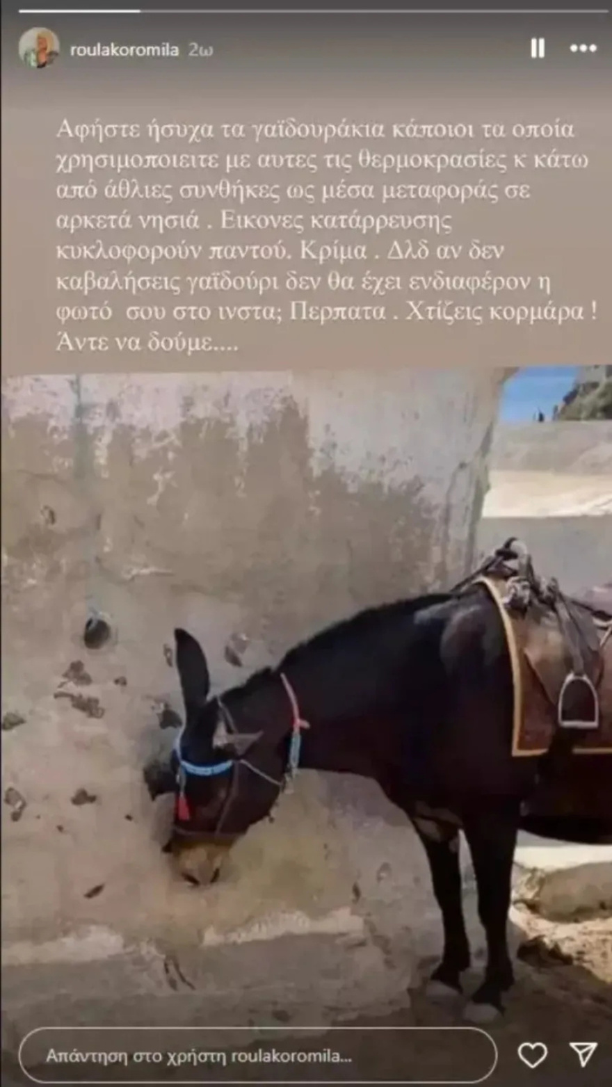 Ξεσπά η Ρούλα Κορομηλά: Είπε όσα σκεφτόμαστε οι περισσότεροι για τα φορτωμένα γαϊδουράκια στα νησιά