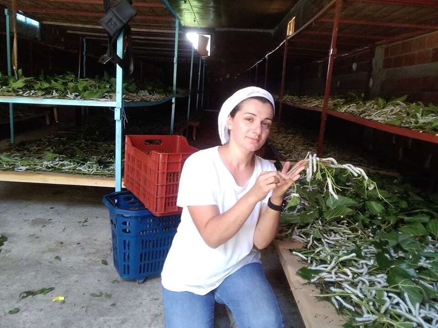 Επαγγέλματα ξεχασμένα: Η 40χρονη από τις Σέρρες που επανέφερε την εκτροφή μεταξοσκώληκα