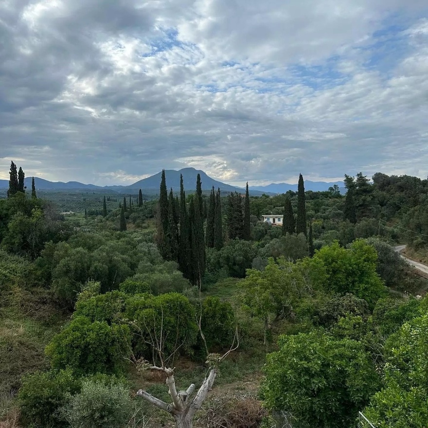 Aληθιvή Θεά: H Δανάη Μπάρκα φοράει σατέν φόρεμα στα μπουζούκια και εντυπωσιάζει με τις ζουμερές καμπύλες της