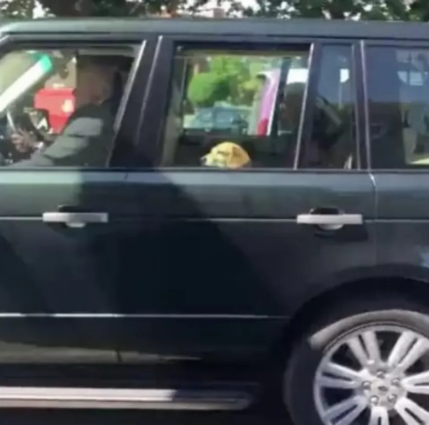 Η Μέγκαν Μαρκλ πήρε αυτό το σκυλί από καταφύγιο σε βασιλική οικογένεια