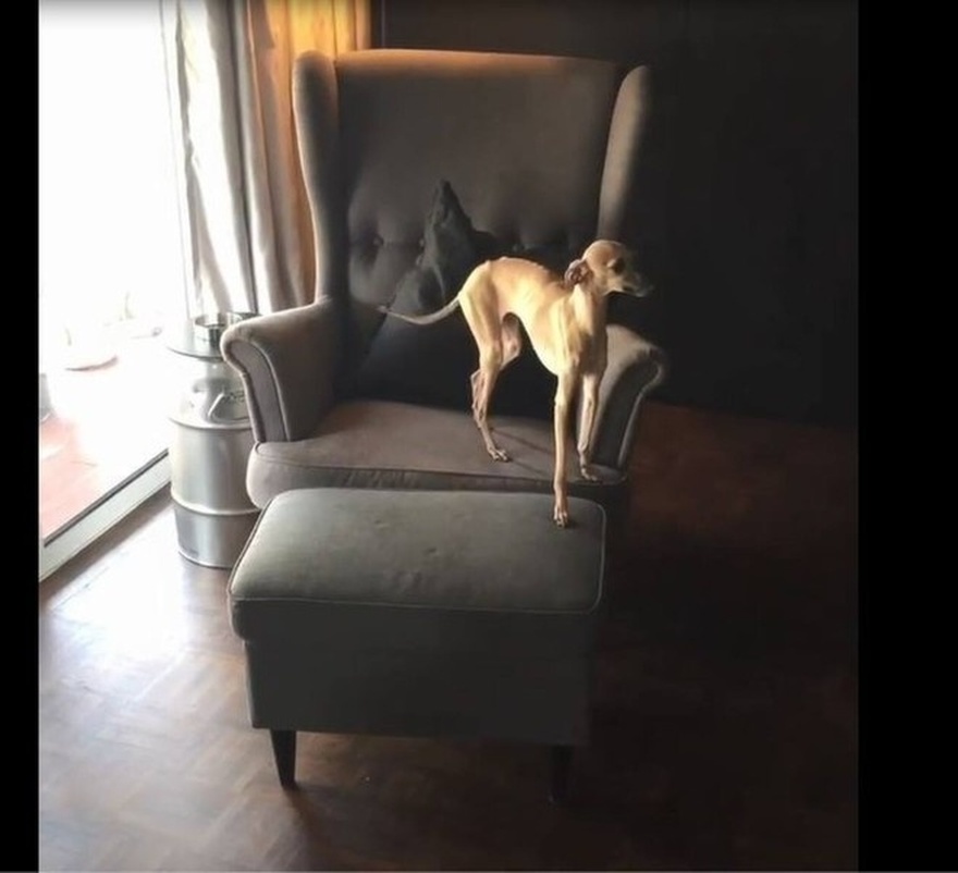 Νεοκλασικό, γεμάτο ζωάκια και γωνιές χαλάρωσης: Το υπέροχο σπίτι του Μιχάλη Λεβεντογιάννη δεν είναι αυτό που περίμενες