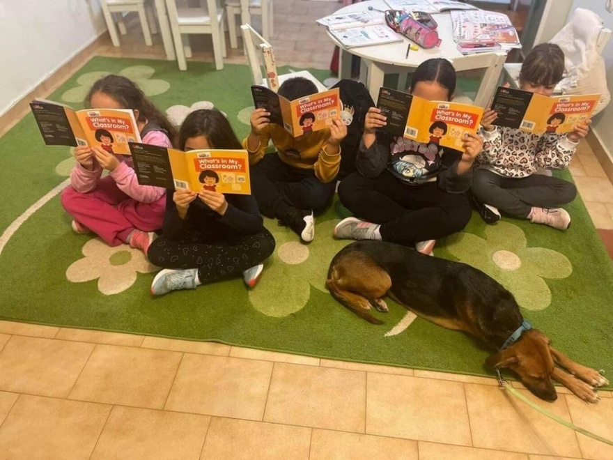 ΛΕΡΟΣ: Το πρώτο Φροντιστήριο που κάνει μάθημα μαζί με γατάκια & σκυλάκια