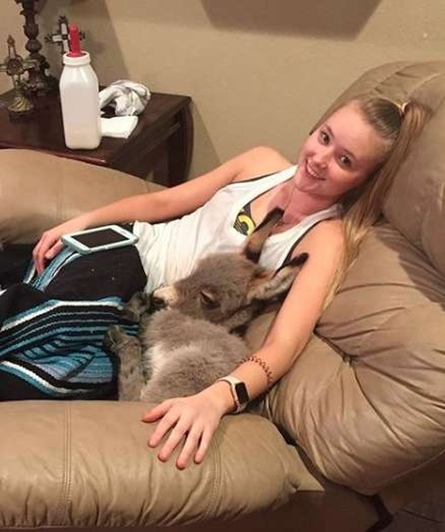 Υιοθεσία ζώου: Η 17χρονη μαθήτρια έσωσε ένα γαϊδουράκι και του χάρισε μια όμορφη ζωή