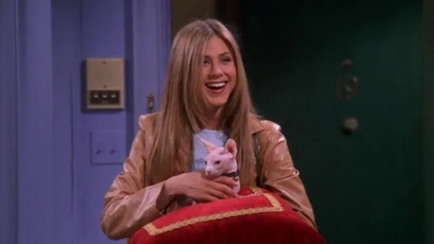 Η Τζένιφερ Άνιστον εξέφρασε δημόσια την άποψή της σχετικά με τις «άτεκνες κυρίες με γάτες».