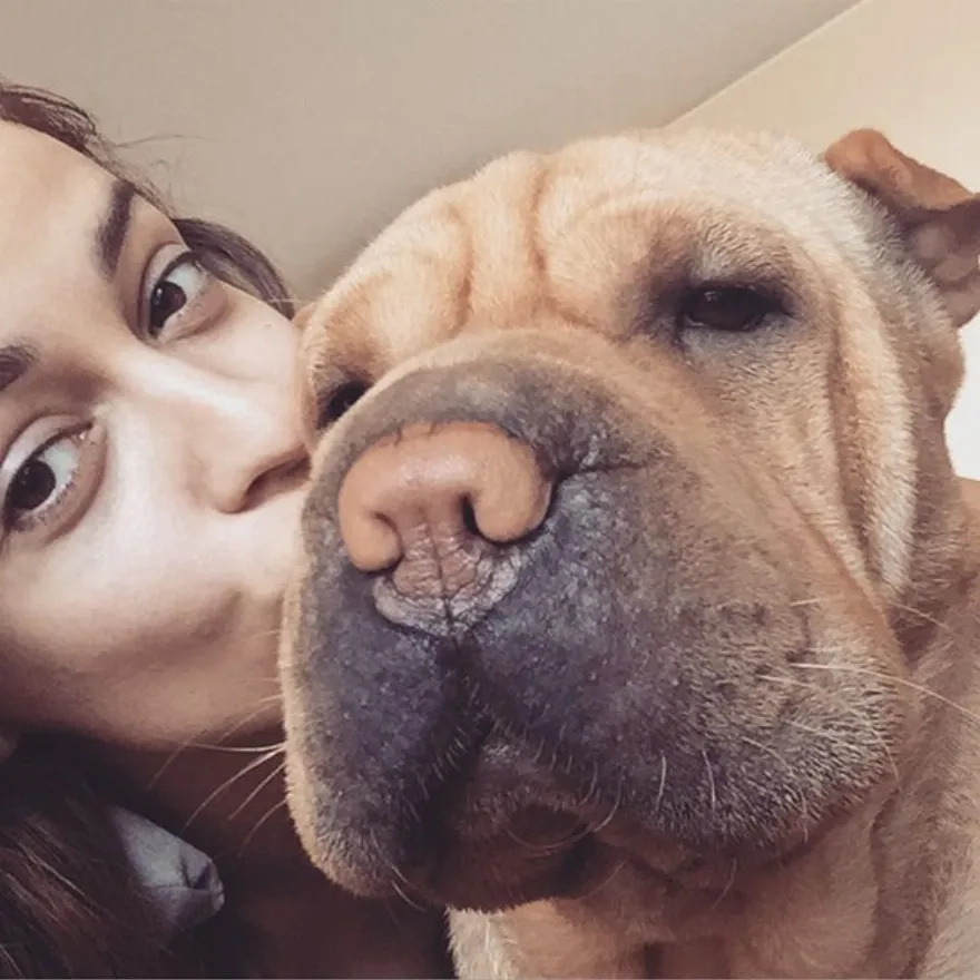 Η αγάπη για τους τετράποδους φίλους μας: Οι διάσημοι Έλληνες και η αγάπη τους για τα ζώα