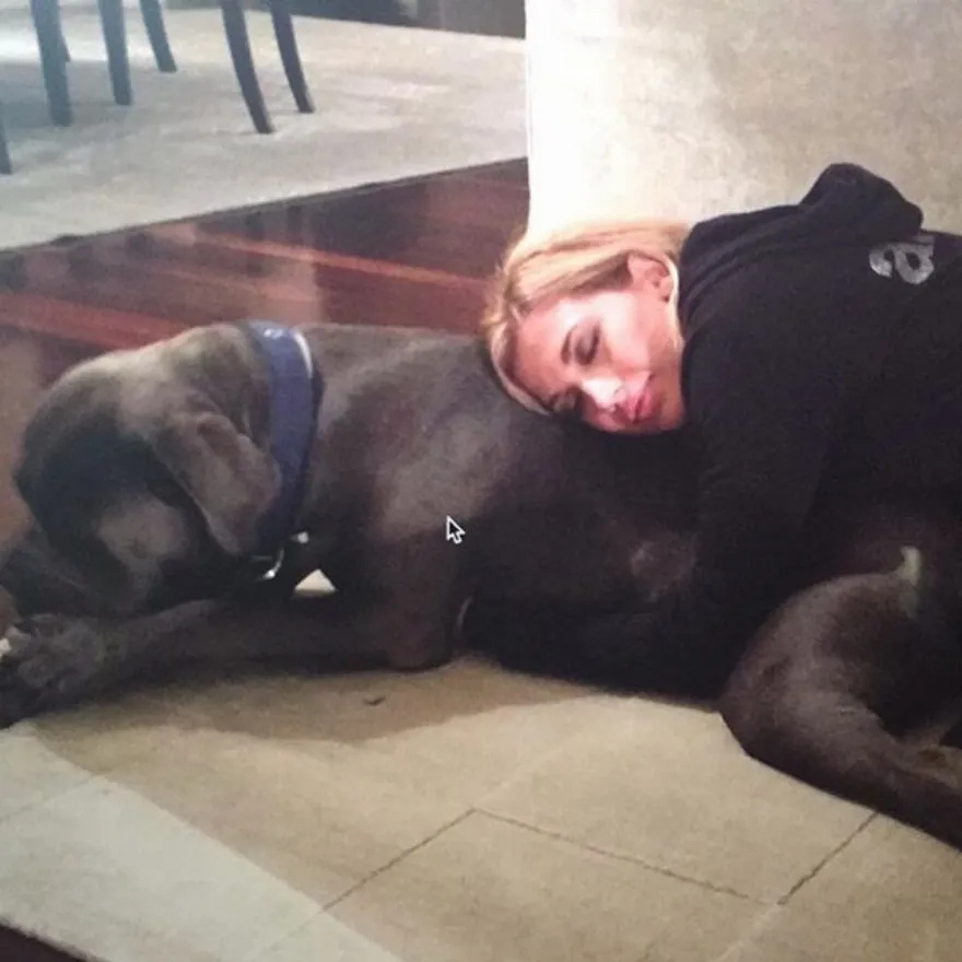 Η αγάπη για τους τετράποδους φίλους μας: Οι διάσημοι Έλληνες και η αγάπη τους για τα ζώα