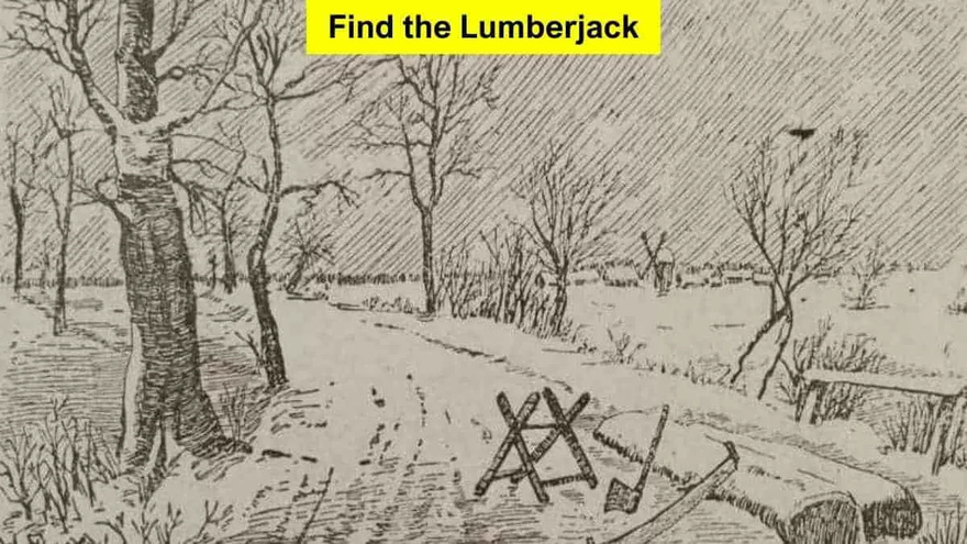 “Optical Illusion Challenge”: Find Lumberjack in 6 Seconds!