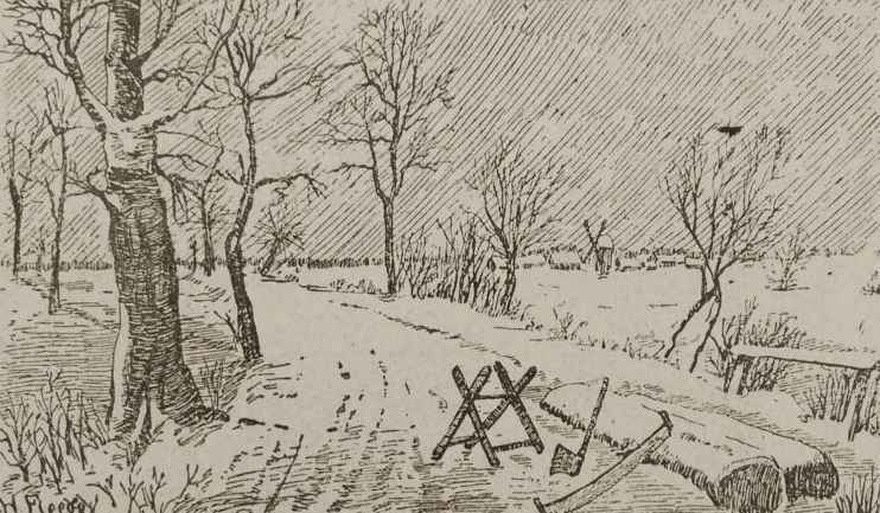 “Optical Illusion Challenge”: Find Lumberjack in 6 Seconds!