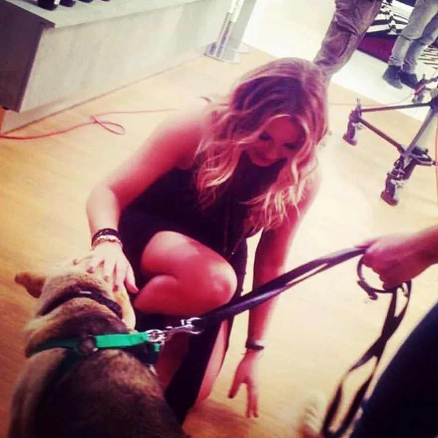 Η αγάπη για τους τετράποδους φίλους μας: Οι διάσημοι Έλληνες και η αγάπη τους για τα ζώα