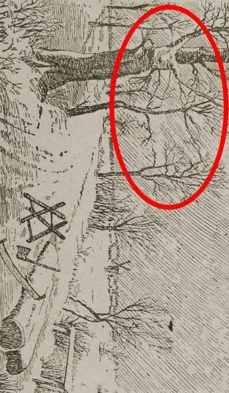 “Optical Illusion Challenge”: Find Lumberjack in 6 Seconds!