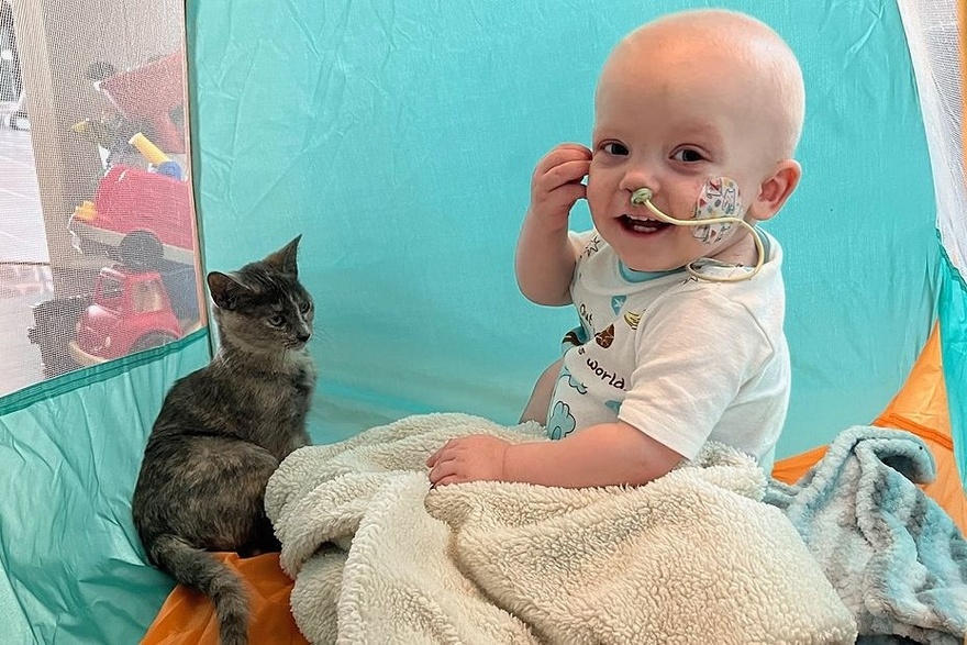 Αδεσποτούλα υιοθετείται & γίνεται αχώριστη σύντροφος μωρού που αντιμετωπιζει σοβαρή αρρώστια