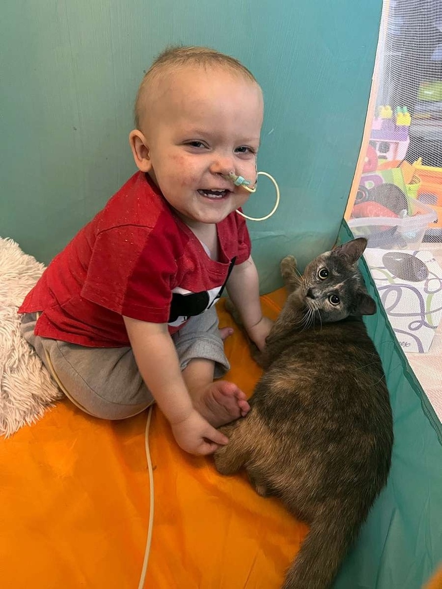 Αδεσποτούλα υιοθετείται & γίνεται αχώριστη σύντροφος μωρού που αντιμετωπιζει σοβαρή αρρώστια