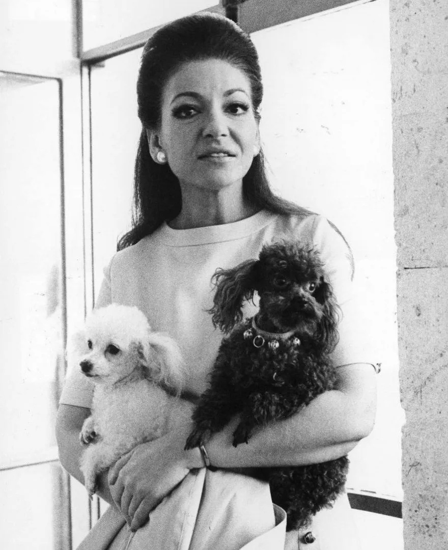 Μαρία Κάλλας: ‘Μόνο οι σκύλοι δεν θα με προδώσουν” – Η τεράστια αγάπη της ντίβας της όπερας για τα σκυλιά της