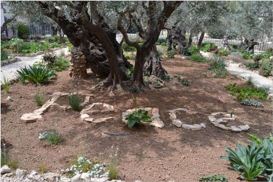 Στον Κήπο της Γεθσημανή: O τόπος στον οποίο ο Χριστός προσευχήθηκε πριν το Άγιο Πάθος