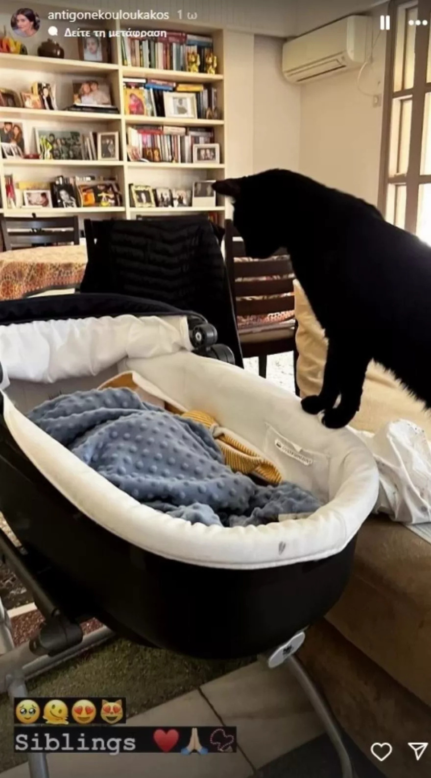 “Αδέρφια”: Η Αντιγόνη Κουλουκάκου φωτογραφίζει τον γιο της με τον μεγάλο αδερφό – κατάμαυρο γάτο – Μόμπι