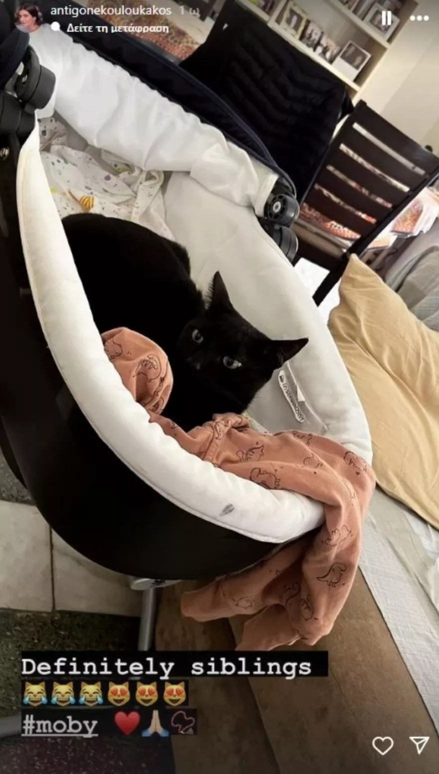 “Αδέρφια”: Η Αντιγόνη Κουλουκάκου φωτογραφίζει τον γιο της με τον μεγάλο αδερφό – κατάμαυρο γάτο – Μόμπι