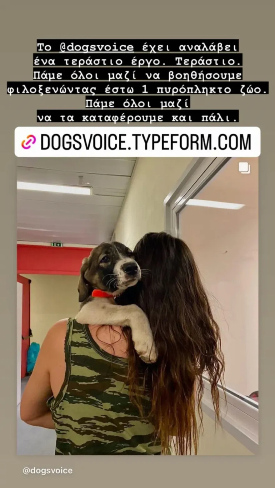 «Δεν εγκαταλείπουμε ποτέ το ζώο μας σε περίπτωση πυρκαγιάς» λέει η Σταματίνα Σταματάκου