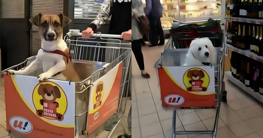 Ένα σούπερ μάρκετ στην Ιταλία έκανε ειδικά καροτσάκια ώστε τα σκυλιά να μπορούν να ψωνίσουν παρέα με τους κηδεμόνες τους