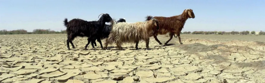 Άγιος Αρσένιος ο εν Πάρω :Όταν οι άνθρωποι και τα ζώα κινδύνευαν να πεθάνουν λόγω ξηρασίας…