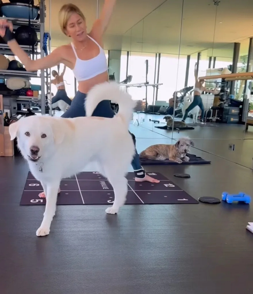 Η Τζένιφερ Άνιστον απολαμβάνει τη γυμναστική της παρέα με τα δύο αγαπημένα της σκυλιά – Δείτε τις φωτογραφίες