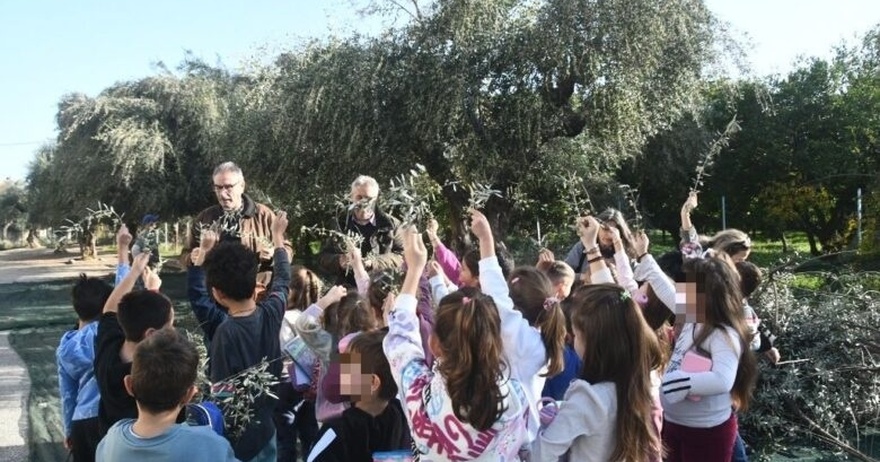 Στην Πάτρα οι μαθητές μαζεύουν ελιές και το λάδι θα πάει σε συνανθρώπους μας που έχουν ανάγκη