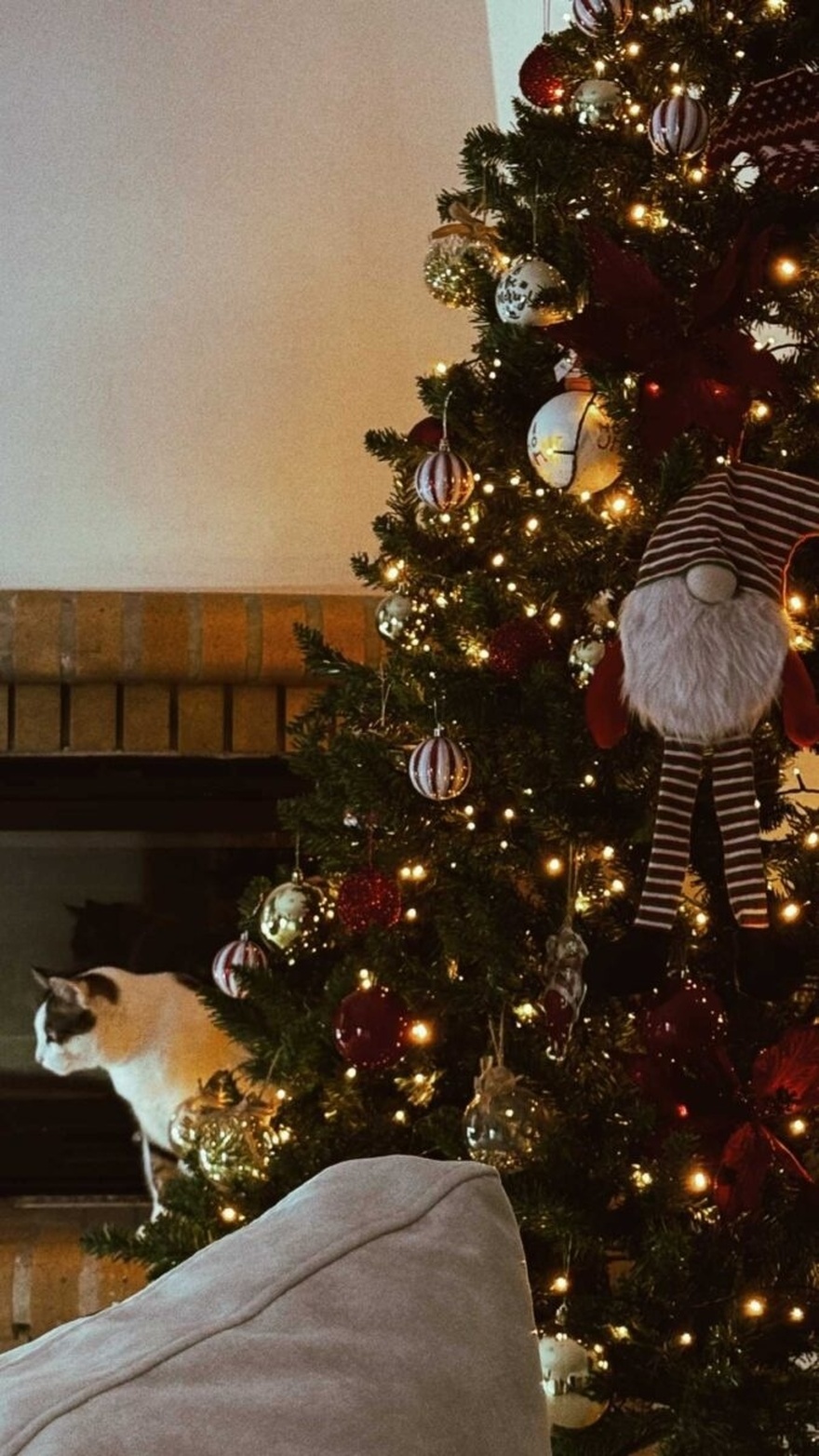 Ελένη Βουλγαράκη και Φώτης Ιωαννίδης: Σε γιορτινή διάθεση το ζευγάρι – Στόλισαν για τα Χριστούγεννα