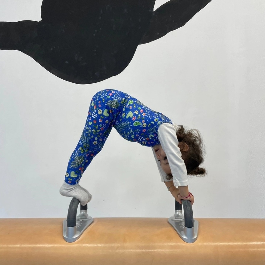 Με όποιο δάσκαλο καθίσεις…: Οι κόρες Πετρούνια-Μιλλούση πάνε σίγουρα για… χρυσό – Τα απίστευτα σπαγκάτο & κατακόρυφα στη δοκό!