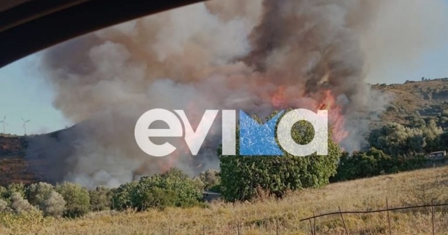 Μεγάλη φωτιά στην Εύβοια – Οι φλόγες φτάνουν στα πρώτα σπίτια