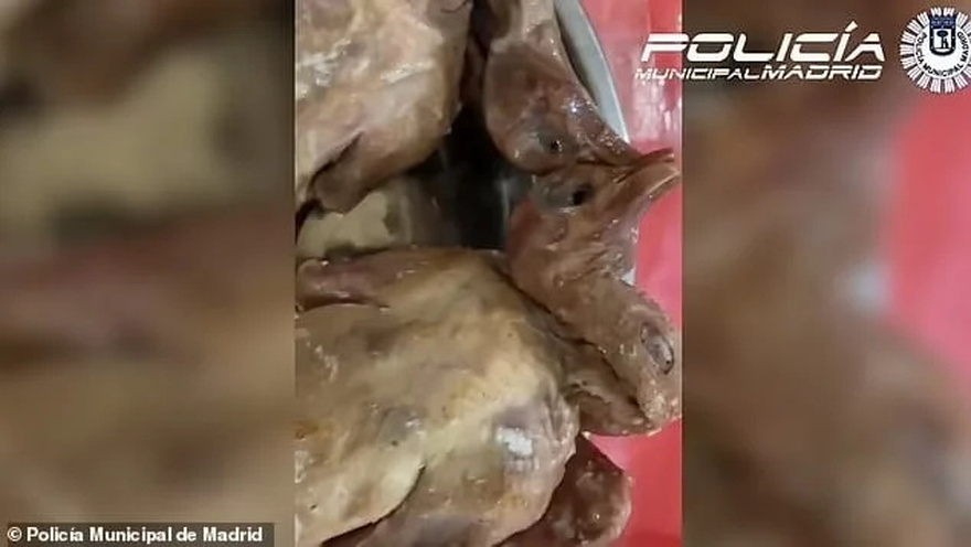 Σοκ: Εστιατόριο σέρβιρε στους πελάτες περιστέρια από τον δρόμο ως ψητή πάπια