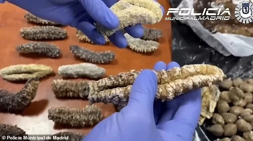 Σοκ: Εστιατόριο σέρβιρε στους πελάτες περιστέρια από τον δρόμο ως ψητή πάπια