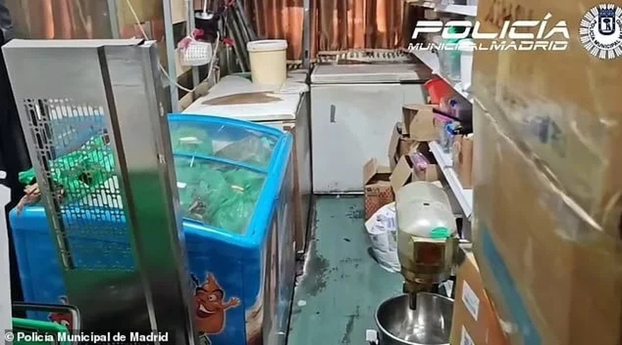 Σοκ: Εστιατόριο σέρβιρε στους πελάτες περιστέρια από τον δρόμο ως ψητή πάπια