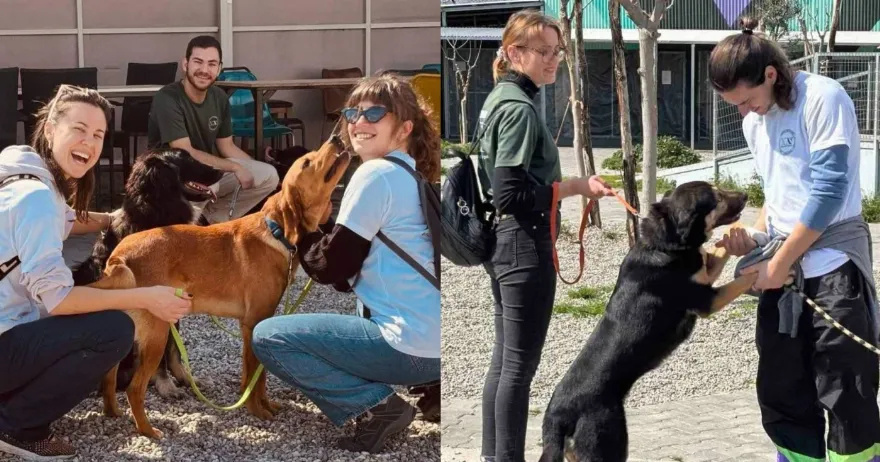 Η Φιλοσοφία στην Πράξη: Ένα Μάθημα Καρδιάς από τη Φιλοσοφική Ομάδα ‘Νέα Ακρόπολη’ στο Καταφύγιο Σωκράτης