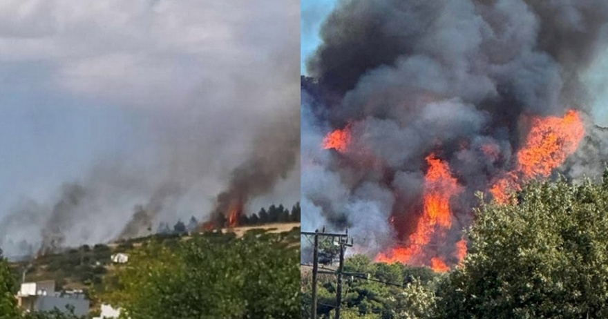 ΜΕΓΑΛΗ Φωτιά κοντα στα σπιτια – Σε πανικο ο ΚΟΣΜΟΣ: Ήχησε το «112» στα κινητά – Στη μάχη εναέρια (ΦΩΤΟ + VIDEO)