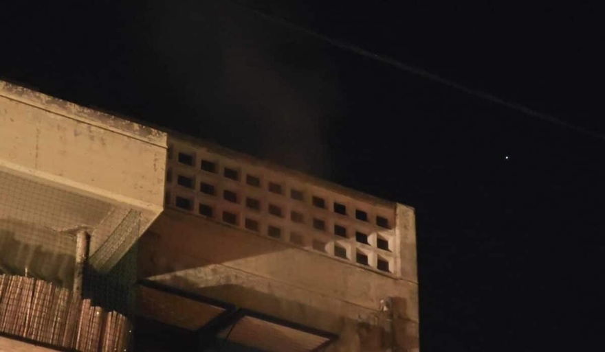 Φωτιά σε διαμέρισμα στα Πετράλωνα – Κάηκαν εννέα γάτες