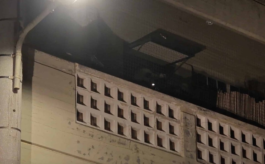 Φωτιά σε διαμέρισμα στα Πετράλωνα – Κάηκαν εννέα γάτες