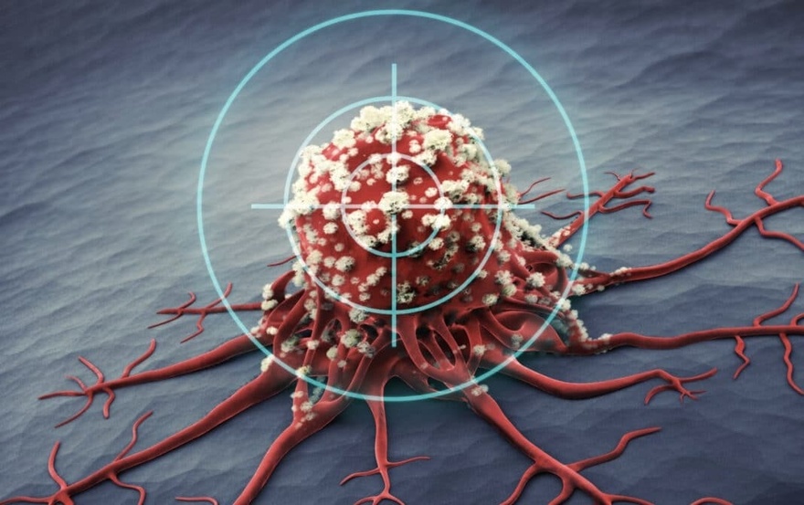 8 ΑΠΟ ΤΙΣ ΚΑΛΥΤΕΡΕΣ ΑΝΤΙΚΑΡΚΙΝΙΚΕΣ ΤΡΟΦΕΣ – ΗΡΘΕ Η ΩΡΑ ΝΑ ΤΙΣ ΠΡΟΣΘΕΣΕΤΕ ΣΤΗ ΔΙΑΤΡΟΦΗ ΣΑΣ! – Στο 1ο σχόλιο 👇