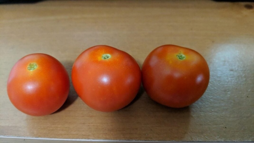 8 ΑΠΟ ΤΙΣ ΚΑΛΥΤΕΡΕΣ ΑΝΤΙΚΑΡΚΙΝΙΚΕΣ ΤΡΟΦΕΣ – ΗΡΘΕ Η ΩΡΑ ΝΑ ΤΙΣ ΠΡΟΣΘΕΣΕΤΕ ΣΤΗ ΔΙΑΤΡΟΦΗ ΣΑΣ! – Στο 1ο σχόλιο 👇