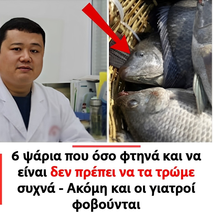 6 ψάρια που όσο φτηνά και να έχουν δεν πρέπει να τα τρώμε συχνά – Ακόμη και οι γιατροί φοβούνται