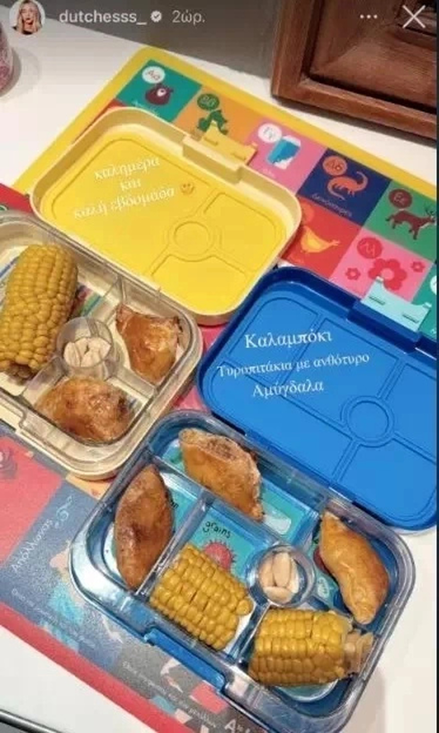 “Εμείς δίναμε στα παιδιά μας ένα τοστ με…” Χαμός με το γεύμα που ετοίμασε η Δούκισσα Νομικού για το σχολείο
