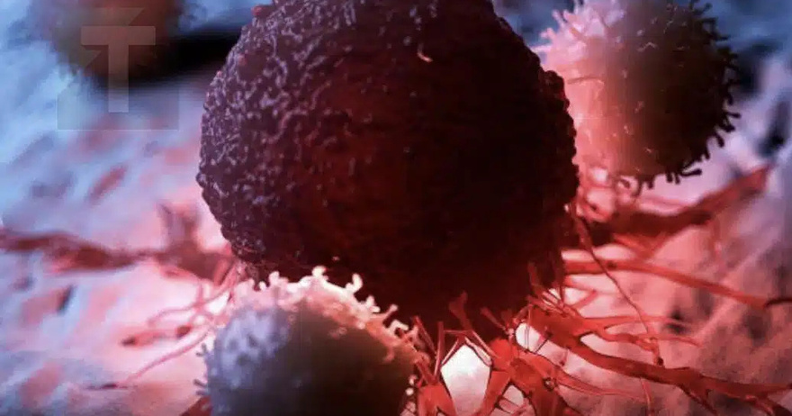 8 ΑΠΟ ΤΙΣ ΚΑΛΥΤΕΡΕΣ ΑΝΤΙΚΑΡΚΙΝΙΚΕΣ ΤΡΟΦΕΣ – ΗΡΘΕ Η ΩΡΑ ΝΑ ΤΙΣ ΠΡΟΣΘΕΣΕΤΕ ΣΤΗ ΔΙΑΤΡΟΦΗ ΣΑΣ! – Στο 1ο σχόλιο 👇