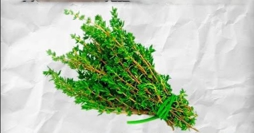 Φυσικό Detox Ρόφημα για την Απομάκρυνση Παρασίτων από το Σώμα!