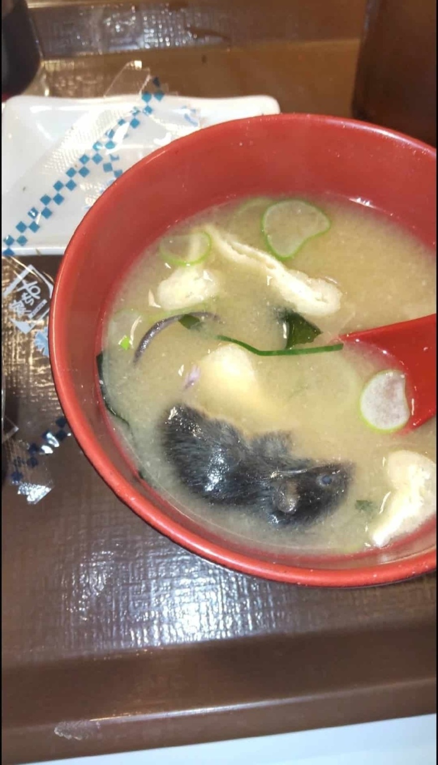 «Λουκέτο» σε καταστήματα γνωστής αλυσίδας ταχυφαγείων – Ποντίκι και έντομο βρέθηκαν σε πιάτα