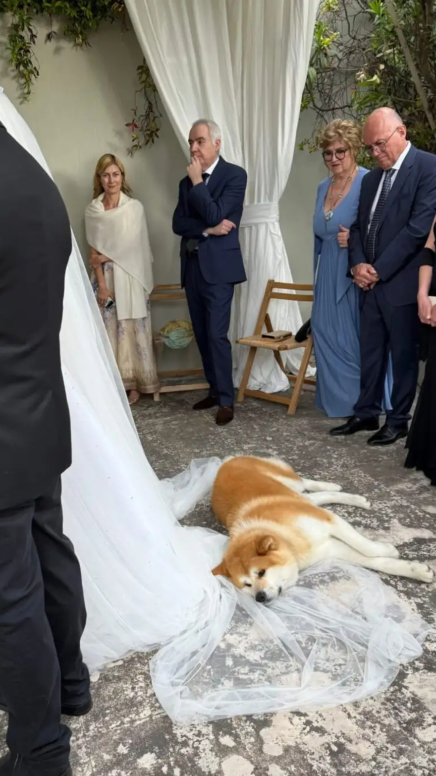 Όλοι κοιτούσαν την Σταματίνα αντί για την νύφη: Παντρεύτηκε η δημοσιογράφος Αλεξάνδρα Χατζηγεωργίου