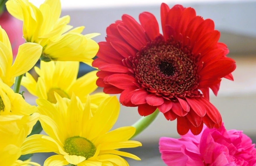 Γιορτή της Μητέρας: Η πολυτιμότερη ημέρα της ανθρώπινης ύπαρξης – 5 τρόποι για να της πεις «σ’ αγαπώ»