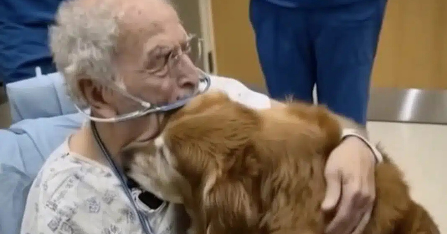 Δεν πιστεύαμε ότι θα τα κατάφερνε να περάσει τη νύχτα: Συνέχιζε να ρωτάει για τον «Μάρκο…»