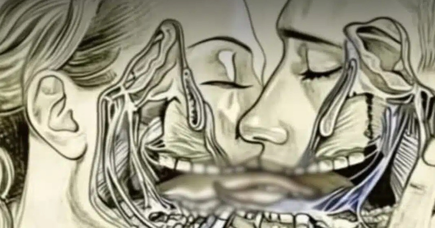 Αυτό συμβαίνει στην πραγματικότητα όταν φιλιόμαστε