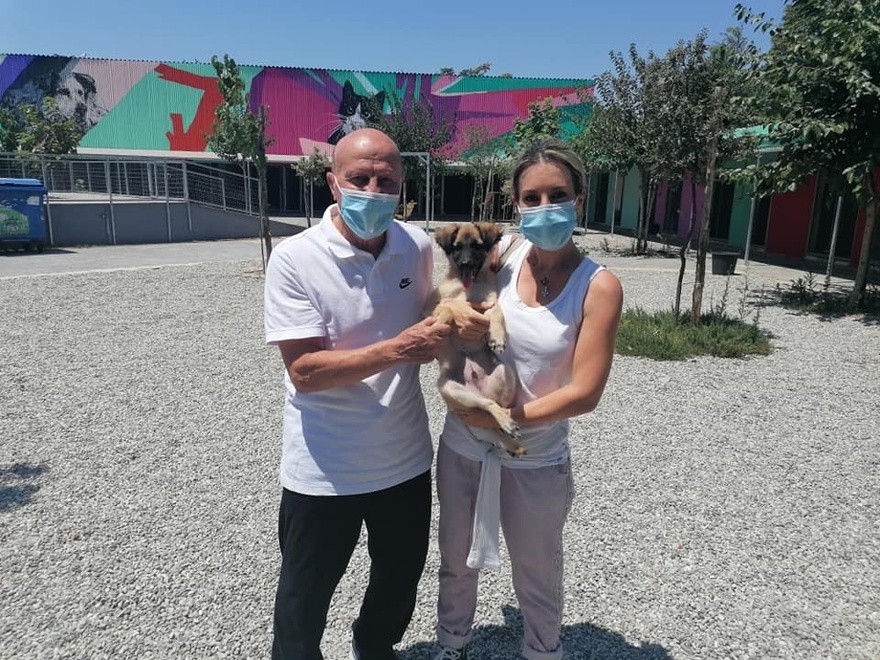 «Δεν θέλω χρήματα, βοηθήστε τα αδέσποτα»: Το συγκινητικό έργο ζωής του Μίμη Δομάζου